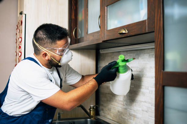 Best Insect Control  in Emmaus, PA