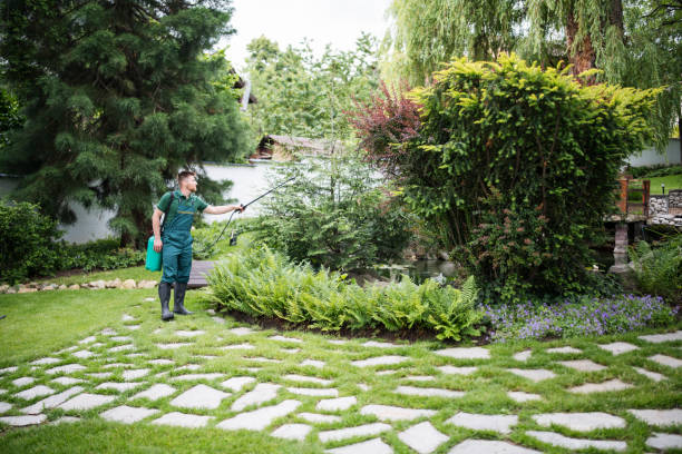 Best Affordable Pest Control Services  in Emmaus, PA