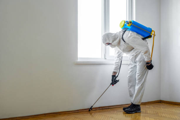 Best Pest Control Near Me in Emmaus, PA